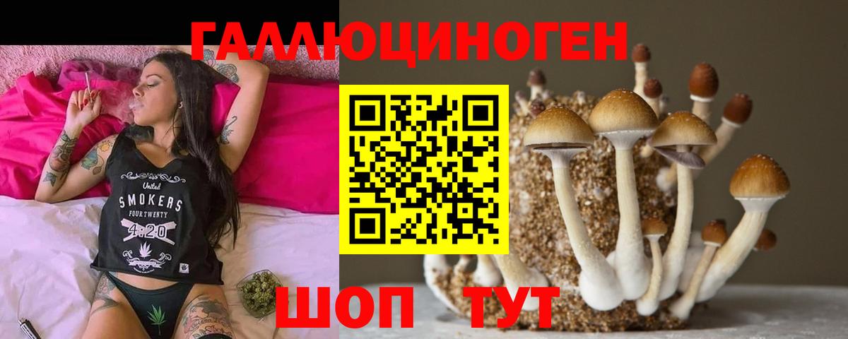 Псилоцибиновые грибы Psilocybine cubensis  Вход с VPN  Красноуфимск  цена наркотик  Псилоцибиновые грибы мухоморы 